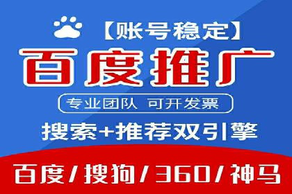 XX领域竞价广告的投放策略及效果展示